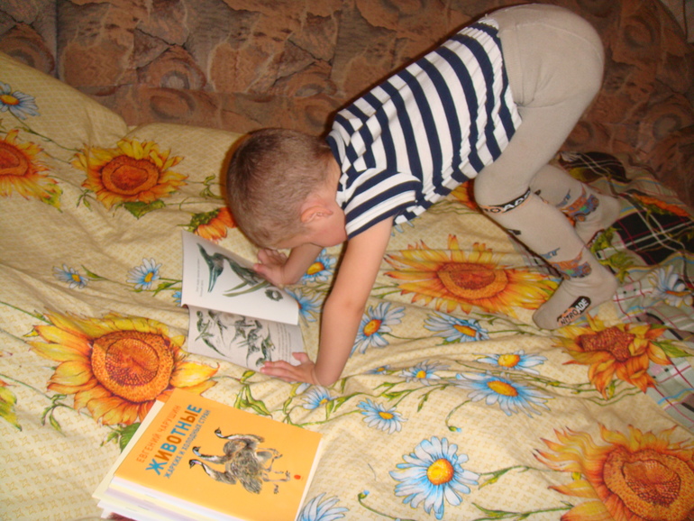 Зима началась. Новым годом запахло!