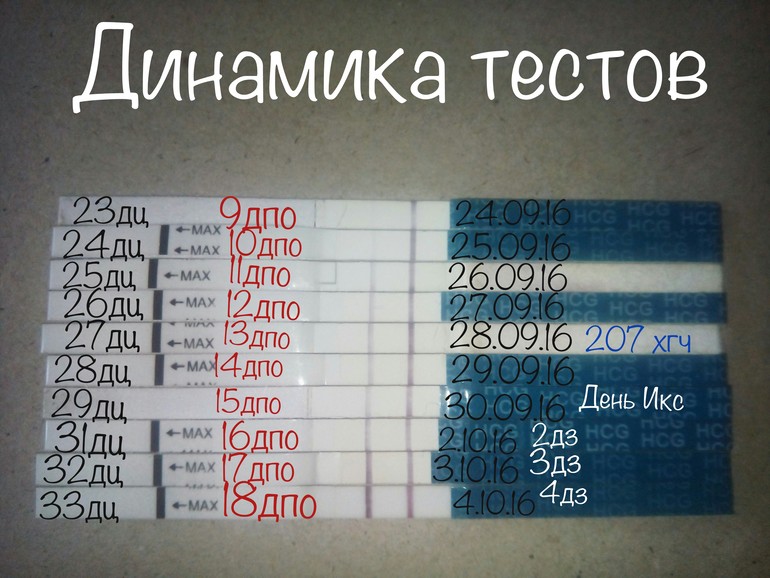 Через сколько дней после. Тесты на беременность по дням. Динамика тестов на беременность по дням. Динамика тестов на беременность и ХГЧ. Тест на беременность в динамике.