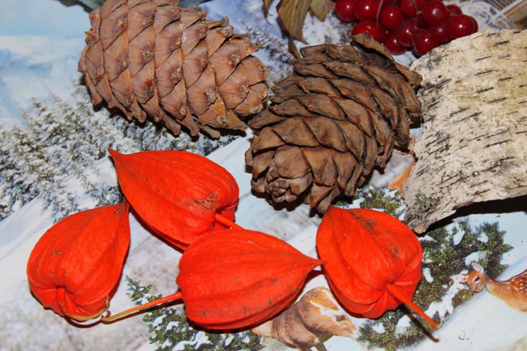 брюки превращаются.....