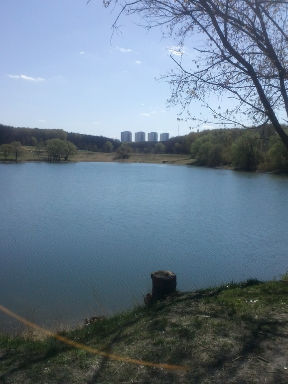 Просто понравилось