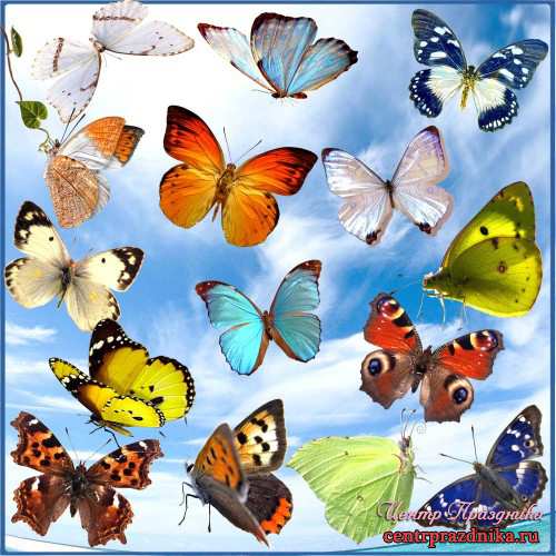 Контрольная  работа № 3