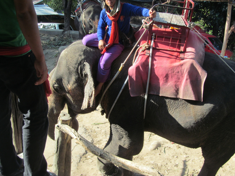 Тайланд, остров Пхукет. Отель Hyton Leelavady.