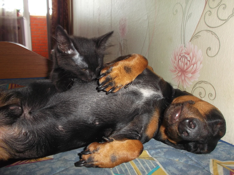 ГВ-не только еда)