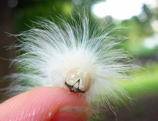 Веселых выходных!))