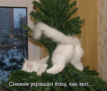 Скоро Новый год.....Хочется позитива)