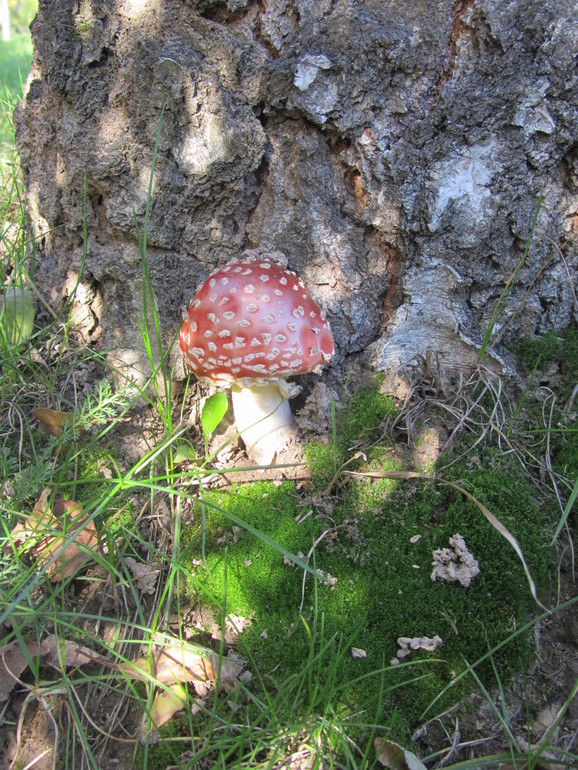 Осенние новости