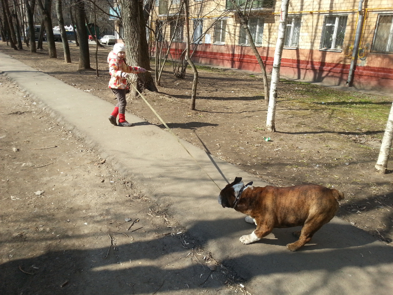с нашим зверем))