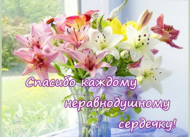 225d4e3a8095ca5098a4bec8a6370f10.jpg
