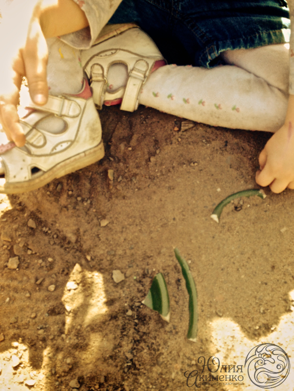 Найти Дракона!!!!