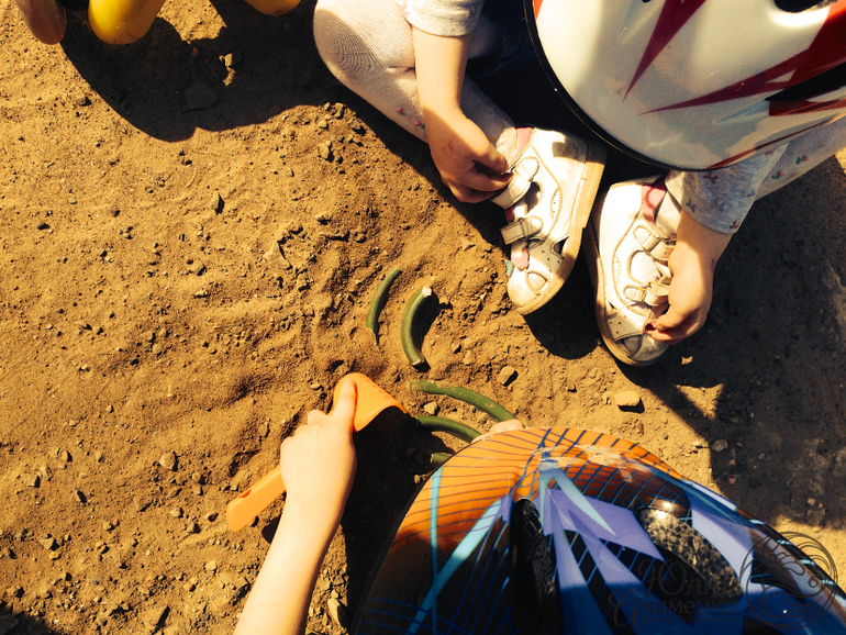 Найти Дракона!!!!