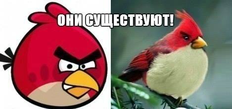 Позитифффчик!! Они действительно существуют!!!