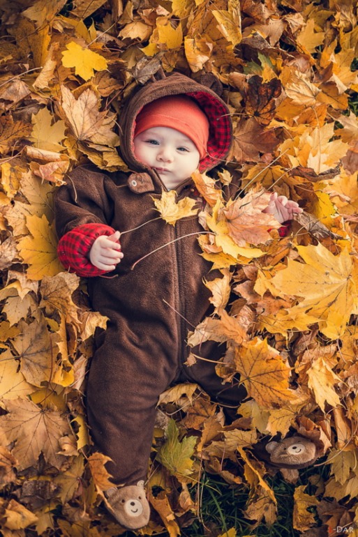 Золотая осень