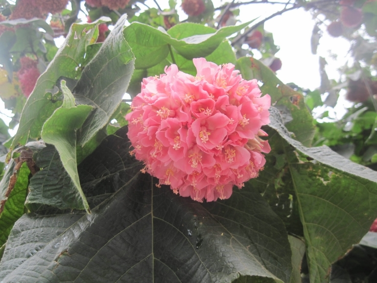 d657ed36390261d6bd77607b33cbd4cd.jpg