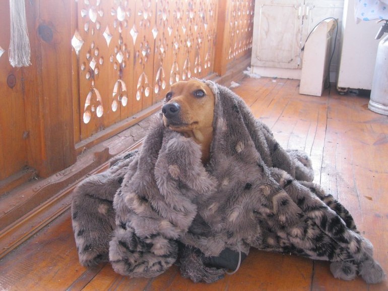 А теперь я вам открою тайну...