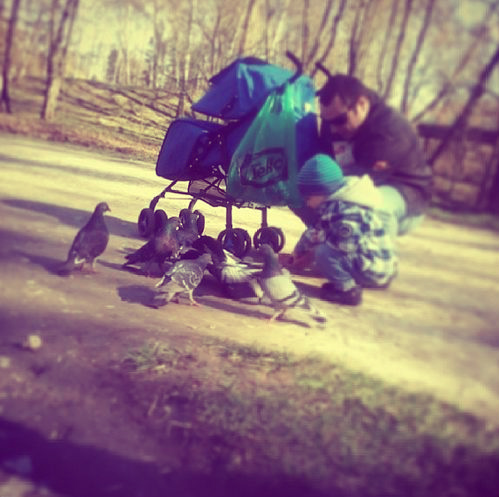 Любовь и голуби..:)))..(с)