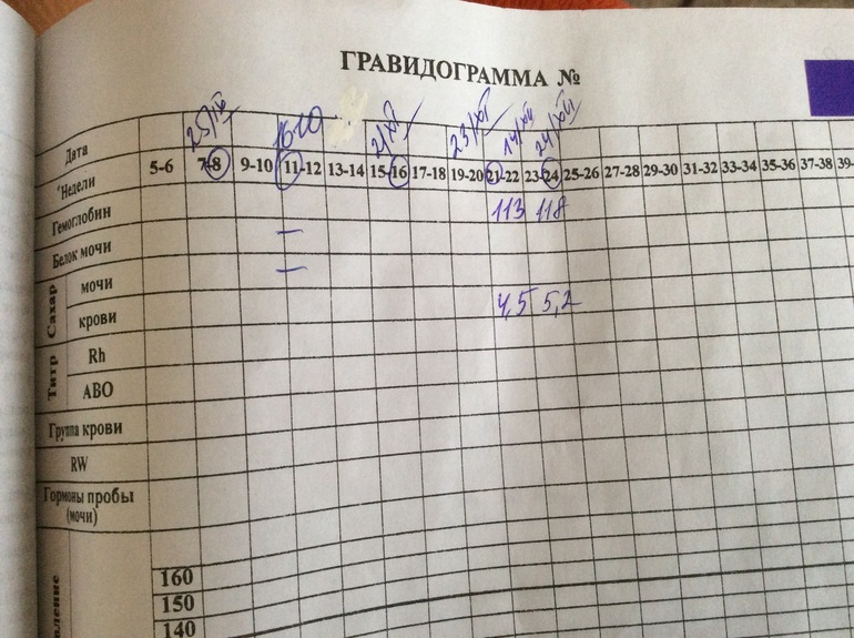 Гравидограмма