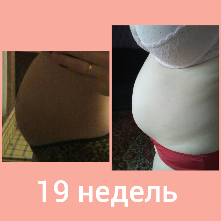 19 недель