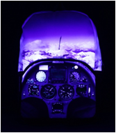 Рюкзаки, чехлы, ланч боксы - Mad*Pax, Mo*jo, Bea*trix - USA #14 НОВИНКИ!!!!!!