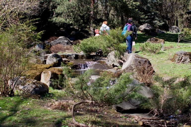 Японский сад