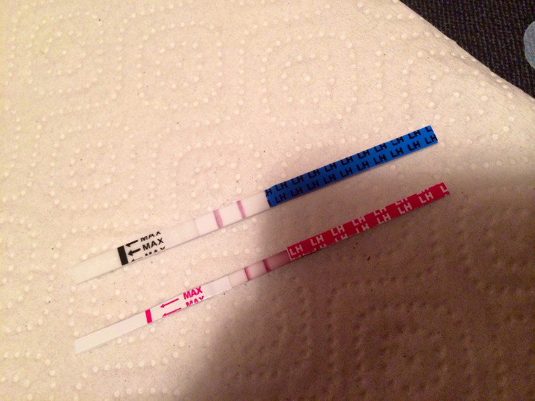 Овуляция вроде она)