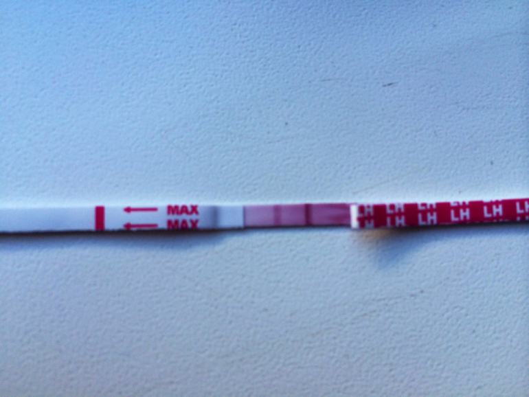 Кто ждет овулю и ловит её тесты мочили?