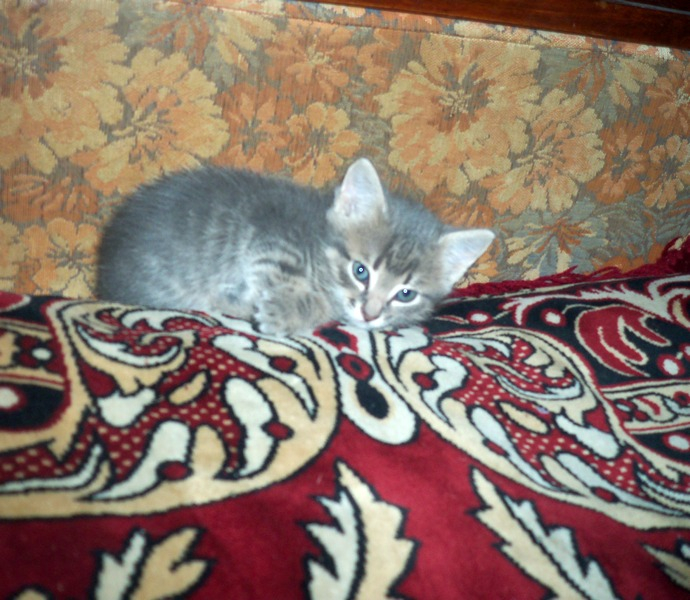 Моей красавице 1 месяц.