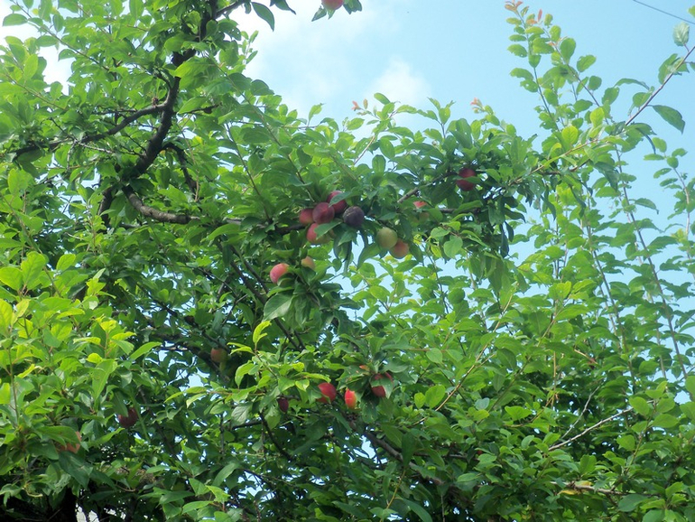 Продолжение следует)