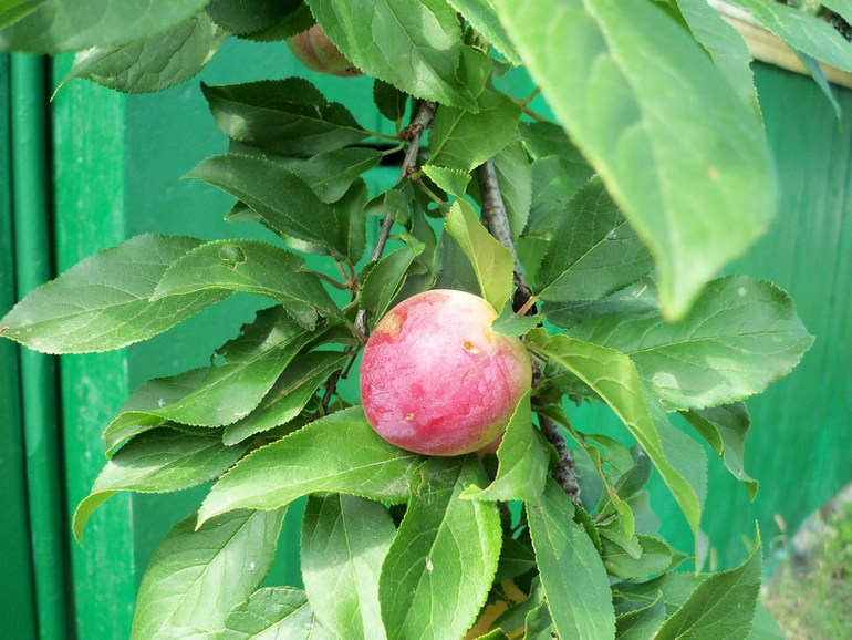 Продолжение следует)