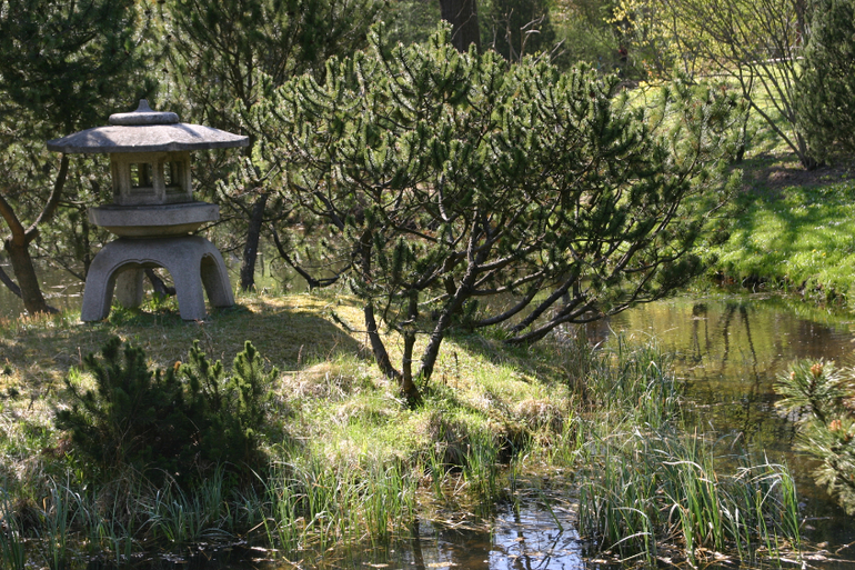 Японский сад.