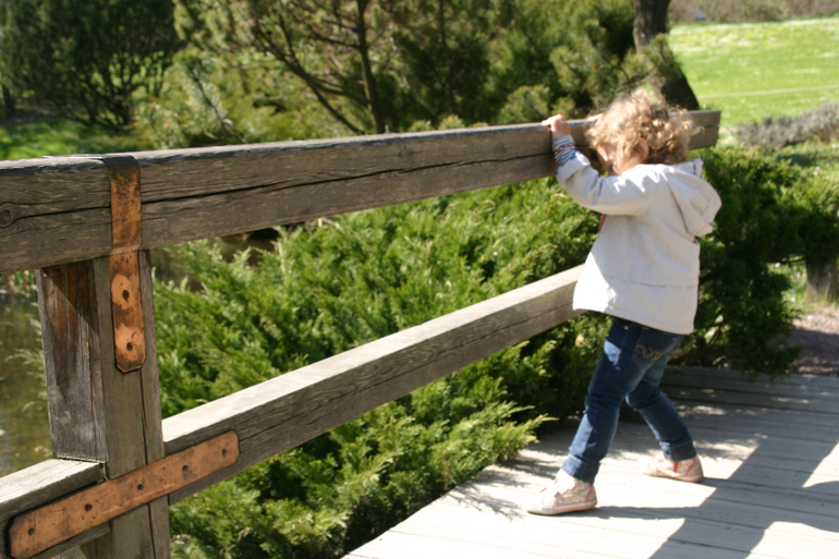 Японский сад.