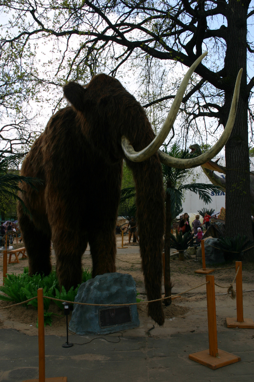 Динопарк на ВВЦ.