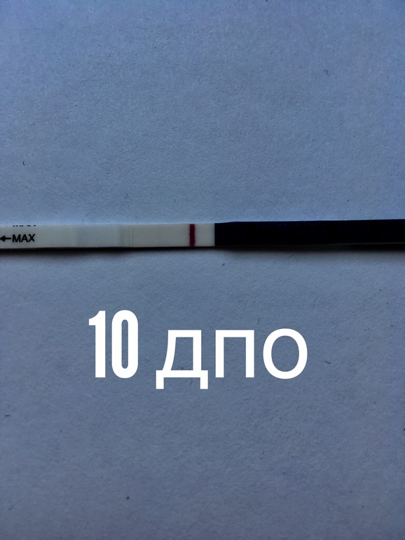 11 дпо