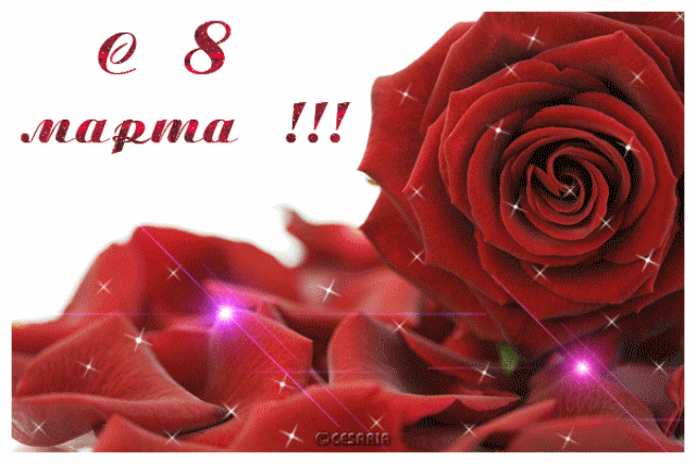 С Праздником нас, Девочки!