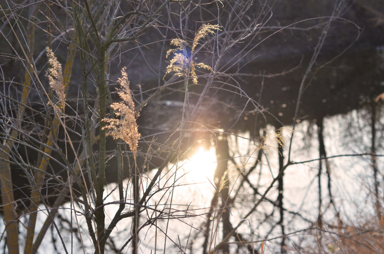 Моя малая Родина..