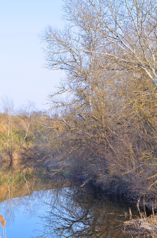 Моя малая Родина..