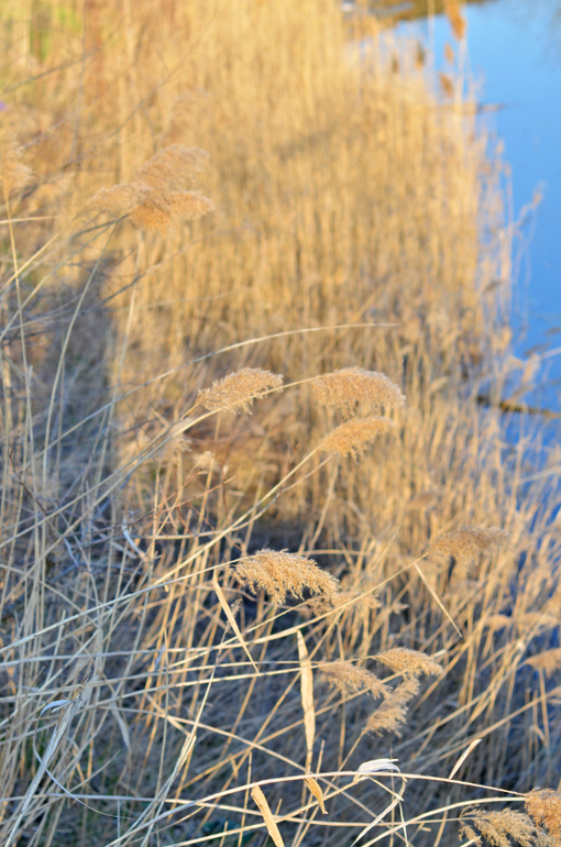 Моя малая Родина..