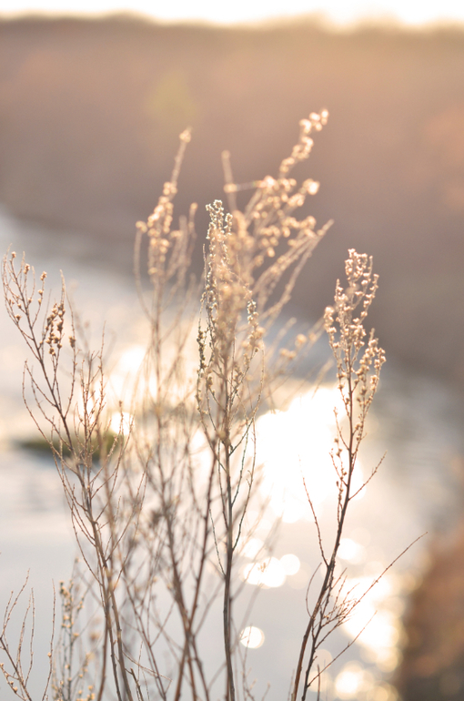 Моя малая Родина..