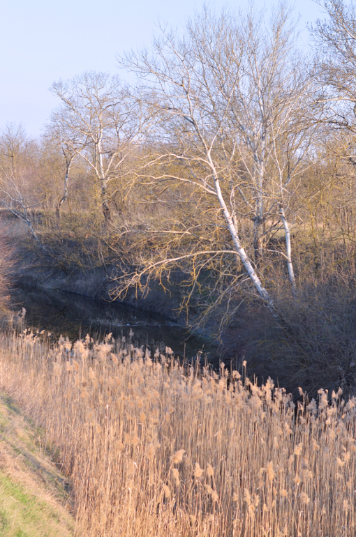 Моя малая Родина..