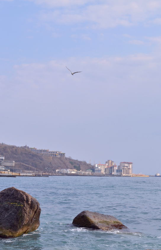 Ялта,набережная,февраль)