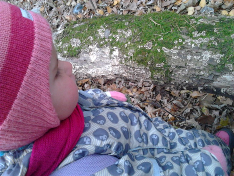 1 Микс-неделя. Мысли, планы...