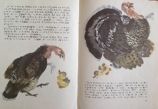 Букинистика. Нечаянная радость