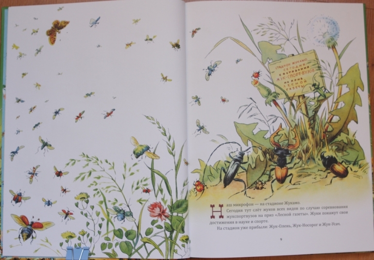 Репортаж со стадиона