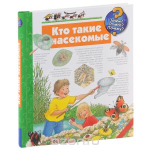 Кто такие насекомые