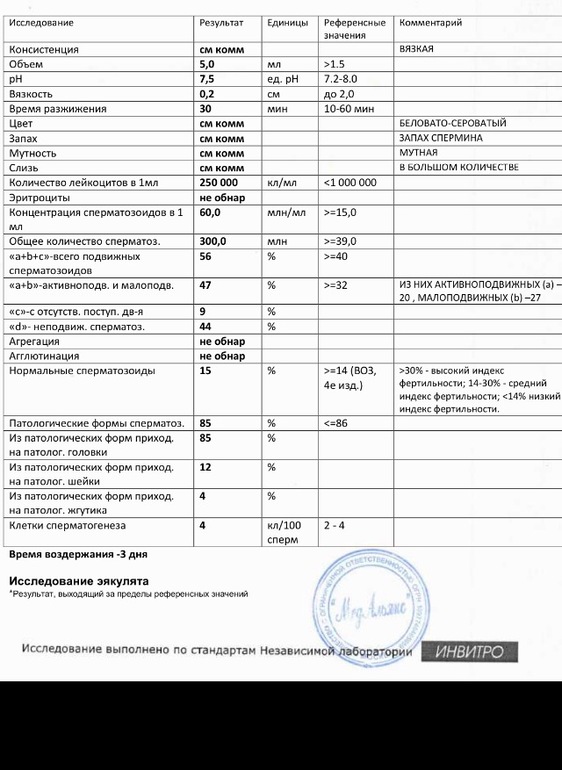 Спермограмма результаты расшифровка