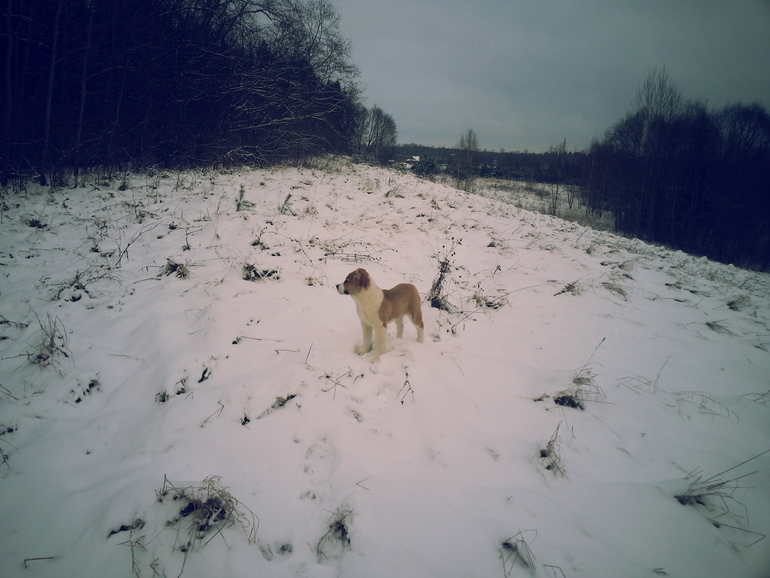 Айнуша, вместе месяц и неделя....
