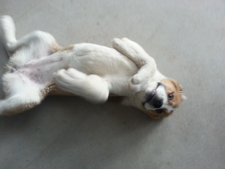 Айнуша, вместе месяц и неделя....