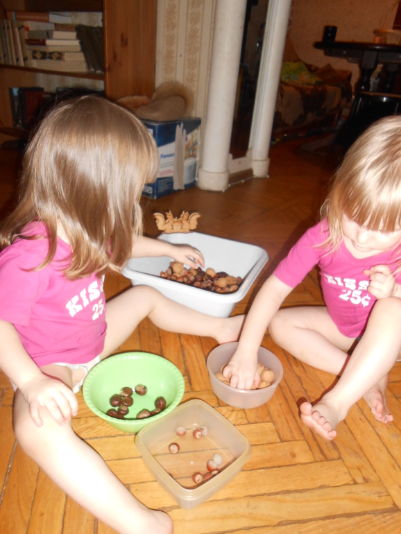 Как живет белка зимой (отчет)