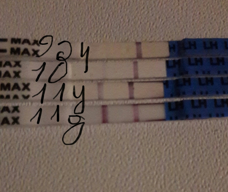 Может ли при овуляции быть кровянистые. Выделения при овуляции. Коричневатые выделения и задержка. Розовые выделения перед менструацией. Может ли при овуляции быть кровянистые.