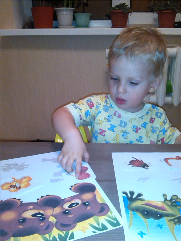 Лесные животные. Медведь.