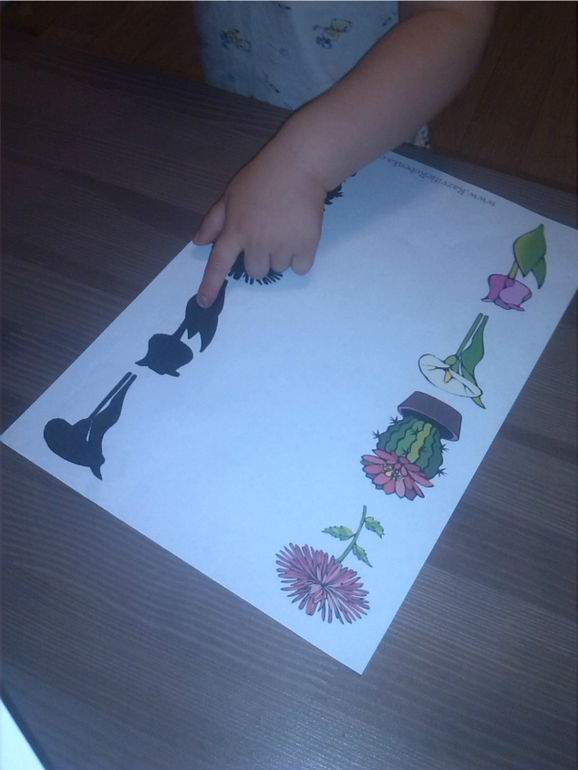 Времена года. Лето.